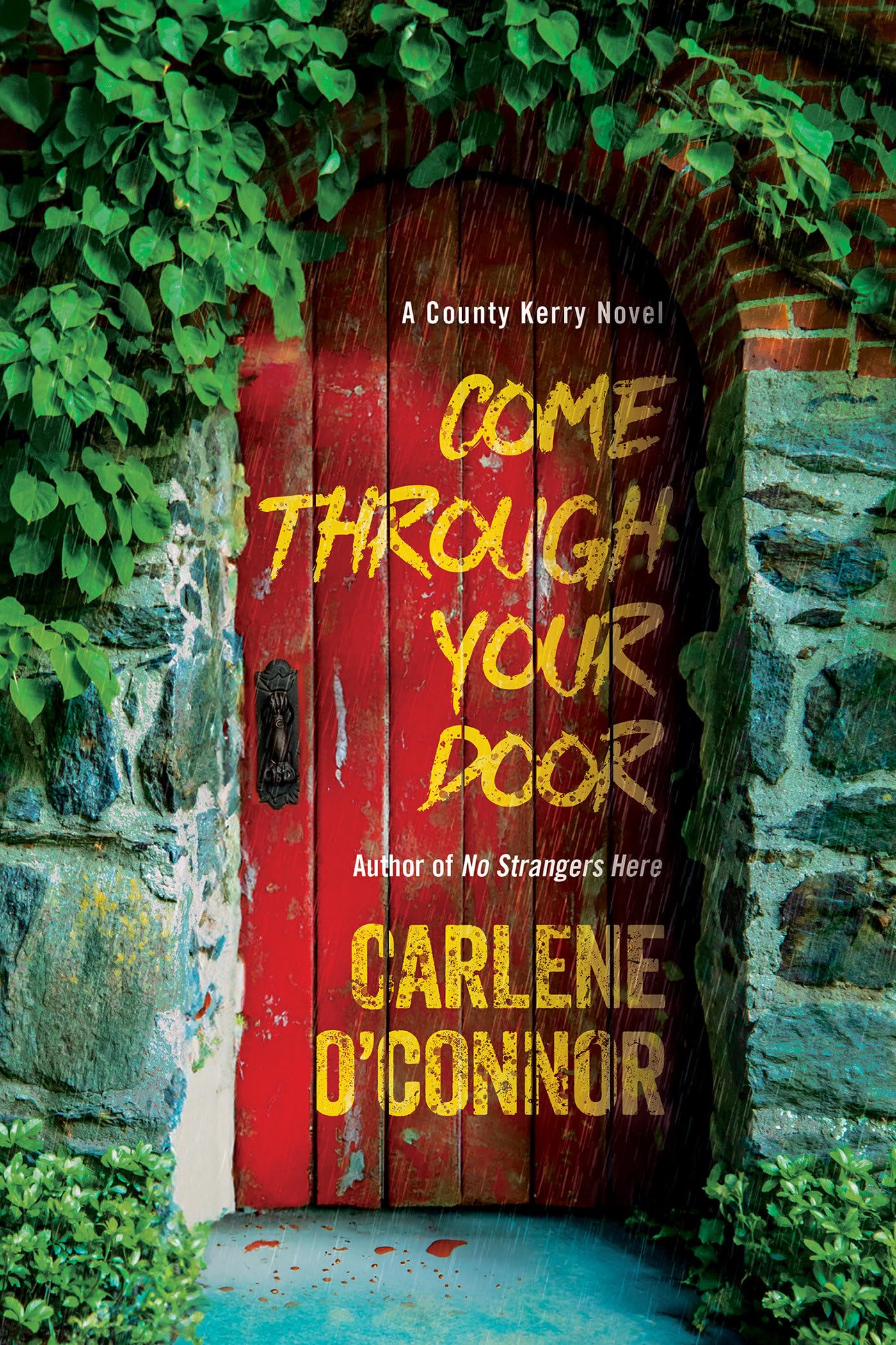 Come Through Your Door (A County Kerry Novel, 4)