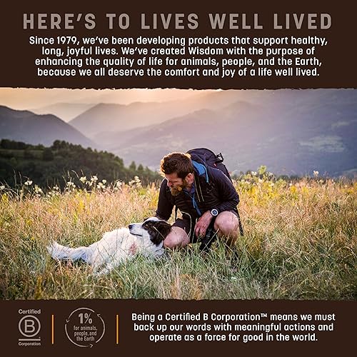 Miniatura 7 de Earth Animal Wisdom Alimento para perros secado al aire  Receta de pollo Alimento natural prémium para perros  Todas las razas y edades  Fabricado