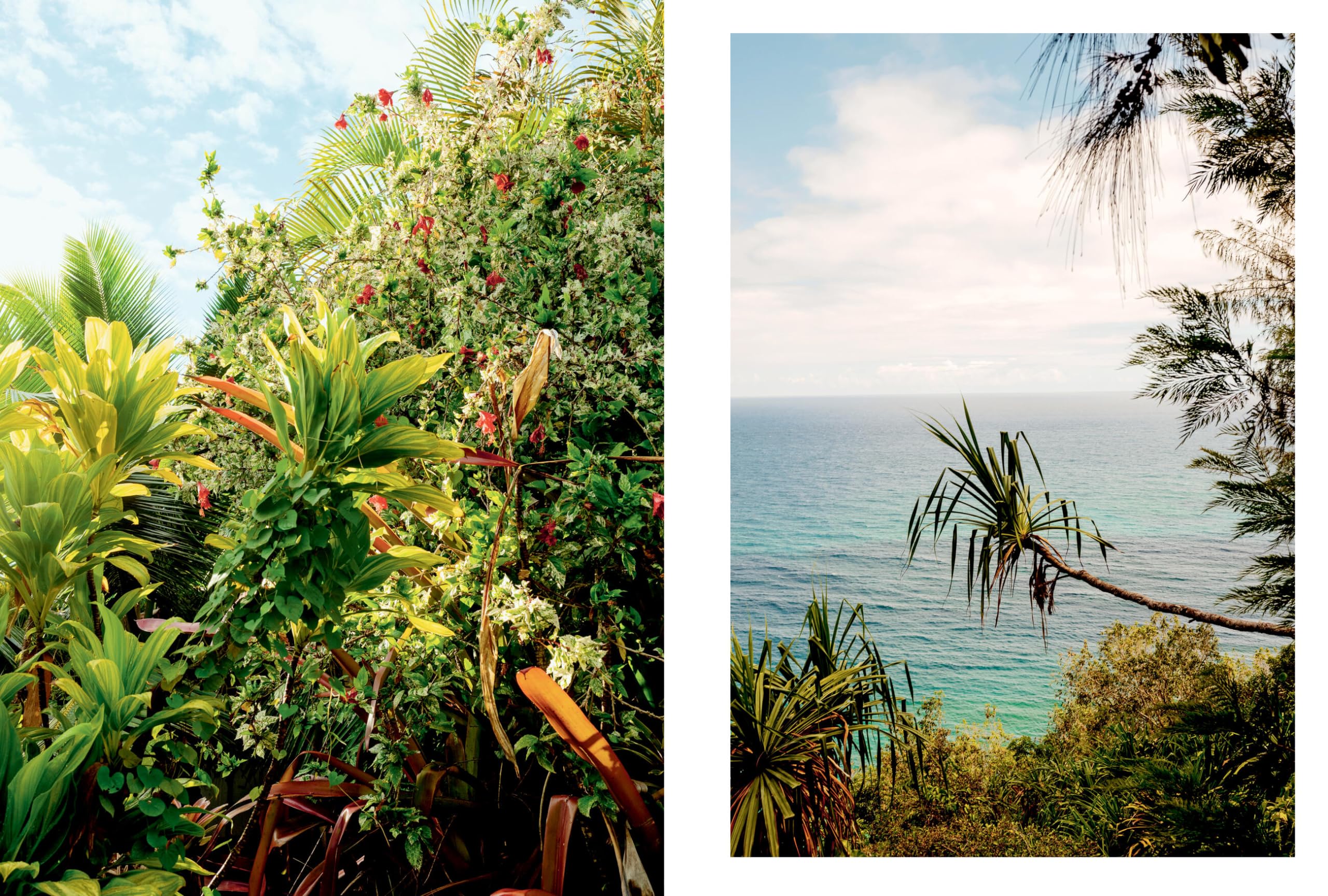 Kinfolk Wilderness: Kinfolk Adventures