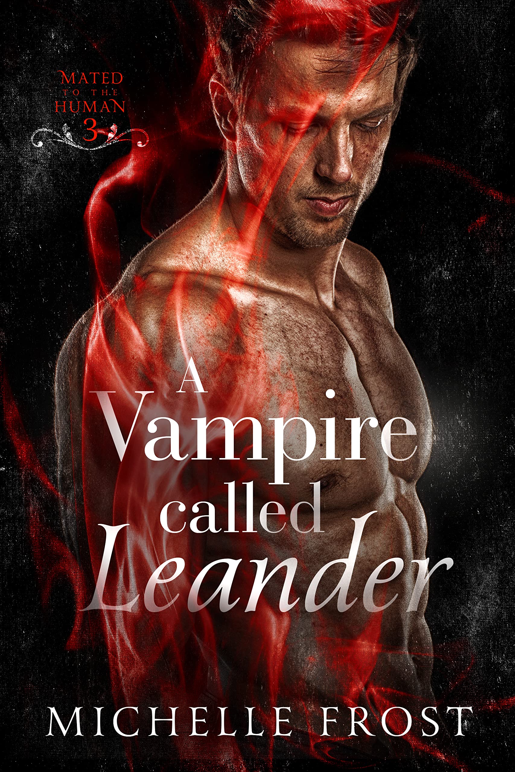 A Vampire Called Leander (On Guard: Mated To The Human Book 3)