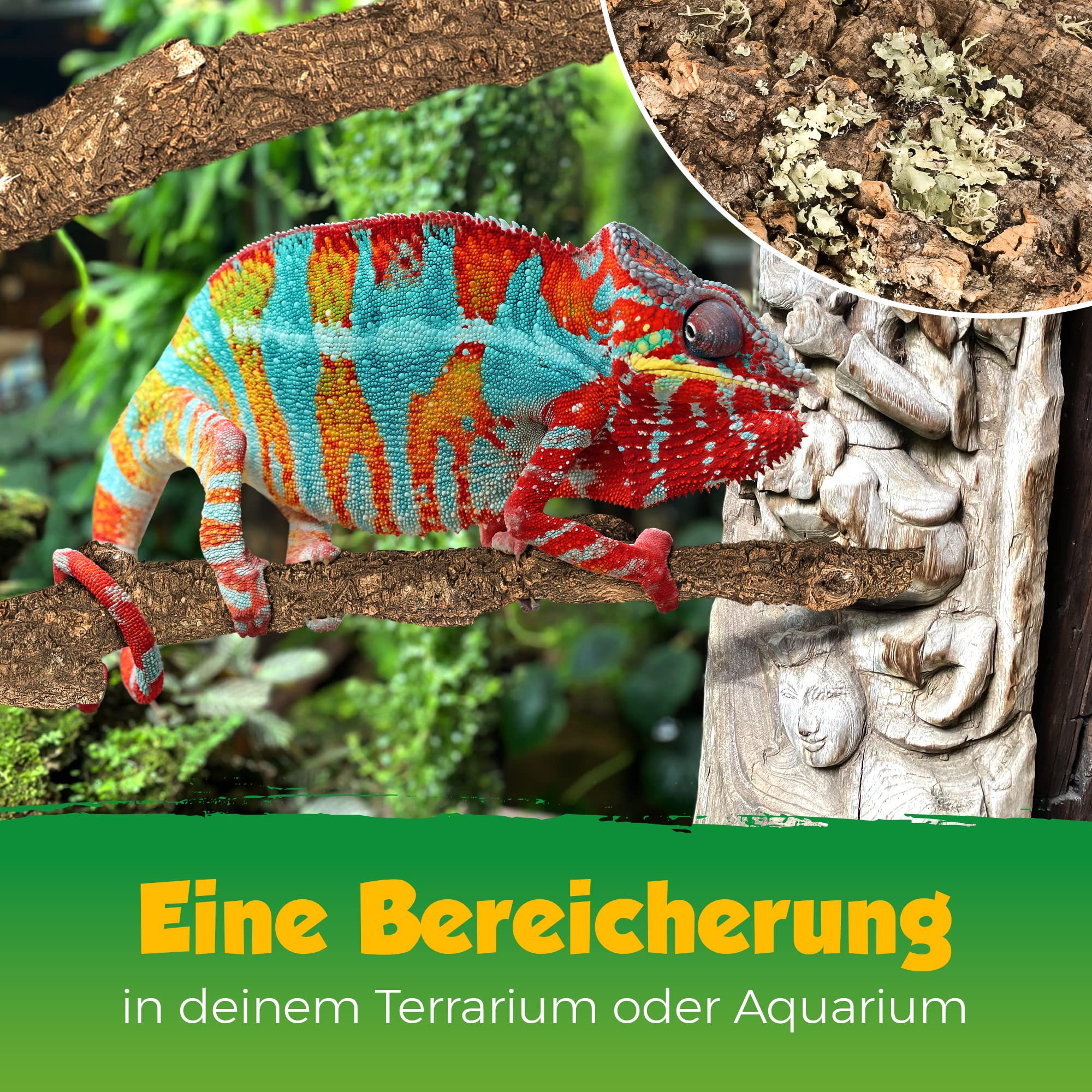 XL Kork-AST | 100 cm lang | AST von der Korkeiche/Korkbaum | Naturkork-Rinde als Terrariumausstattung | Made in Portugal
