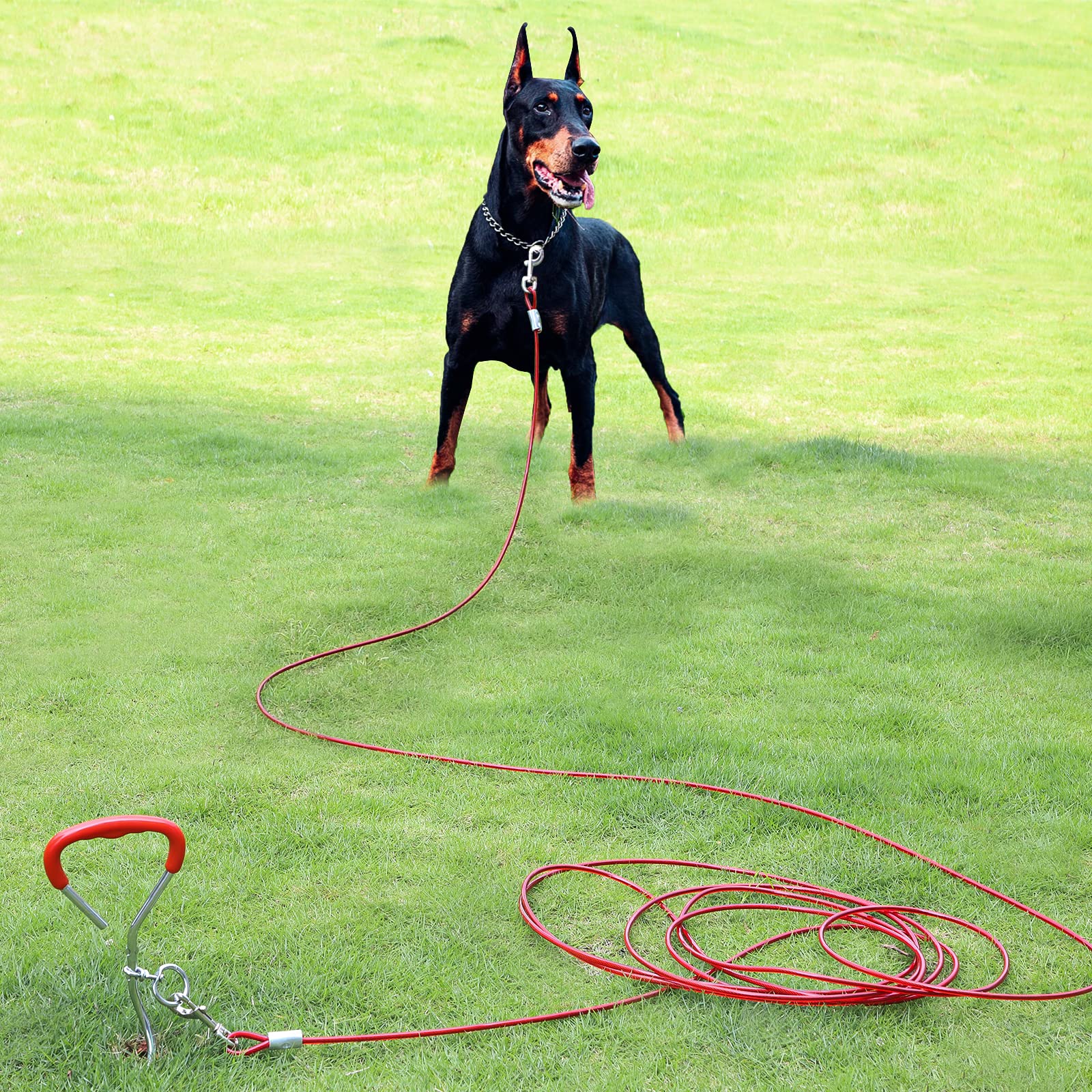 EFUTURETIME Picchetto a Spirale per Guinzaglio del Cane in Acciaio Inossidabile 9m, può Essere Ruotato di 360° Senza Incepparsi, Fascetta per Cani per Cortili, Campeggi, Parchi