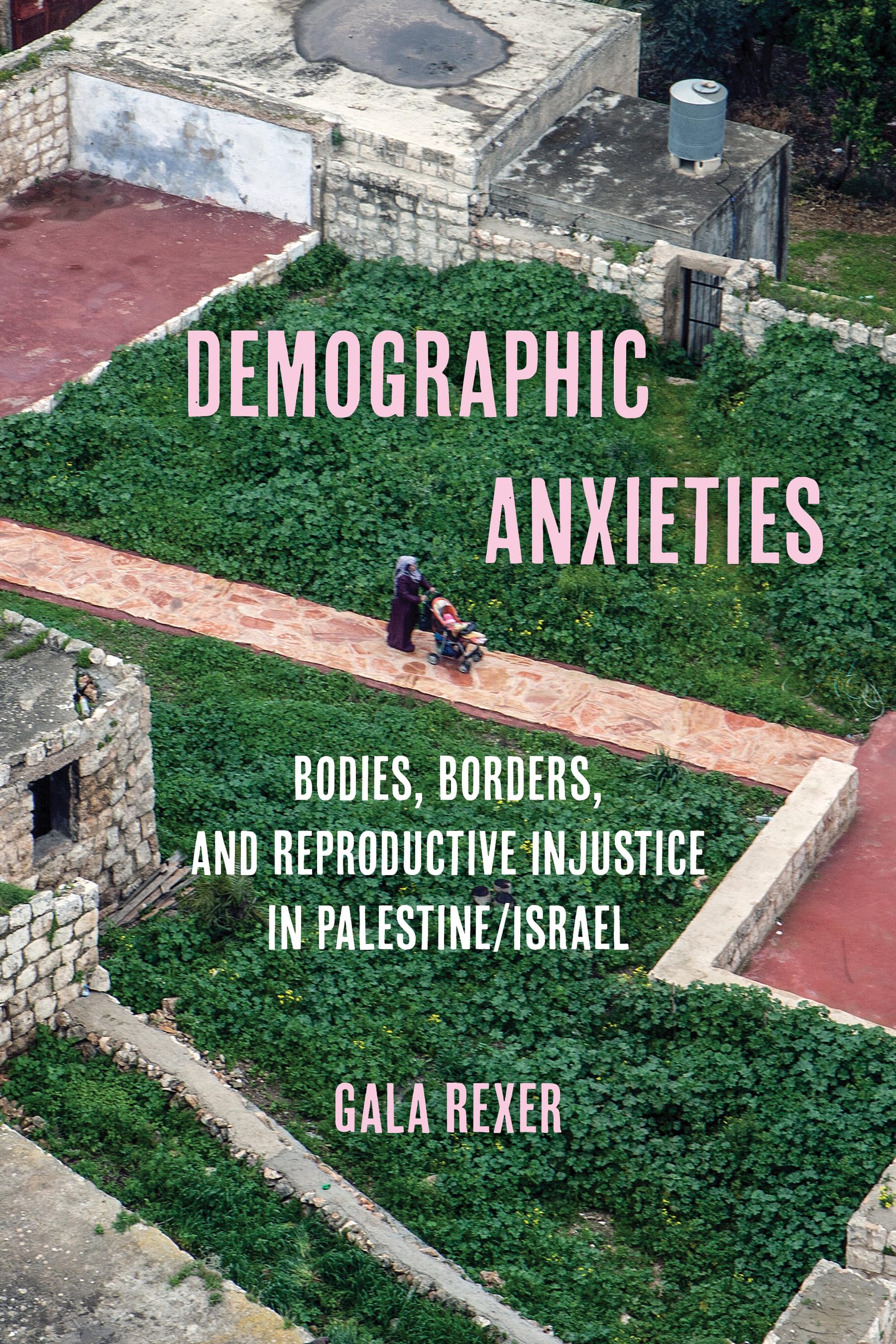 Demographic Anxieties: Bodies, Borders, and Reproductive Injustice in Palestine/Israel: 17 (Reproductive Justice: A New Vision for the 21st Century)