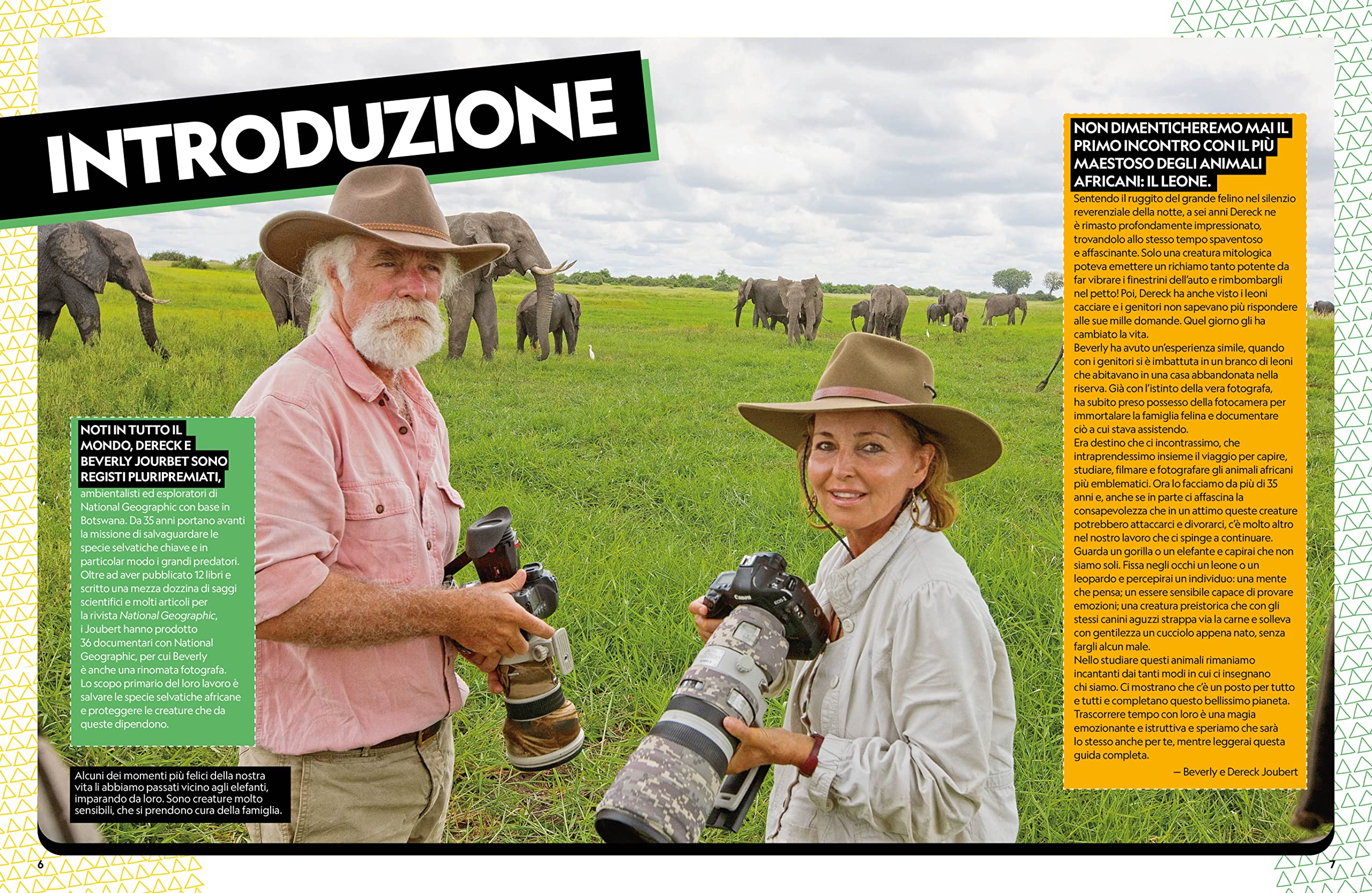 Il grande libro degli animali dell'Africa. Ediz. a colori