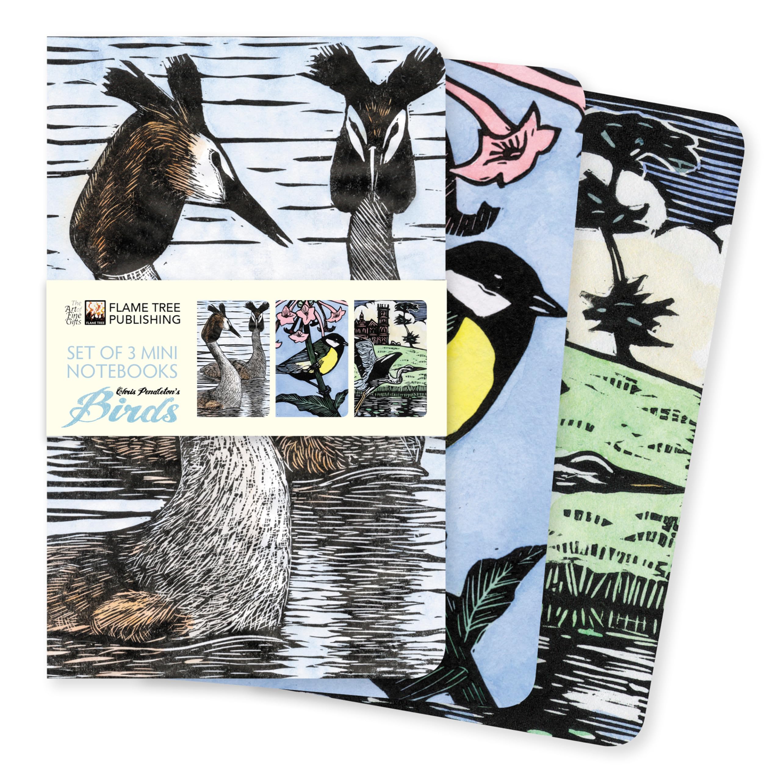 Chris Pendleton Set of 3 Mini Notebooks (Mini Notebook Collections), Multi-color