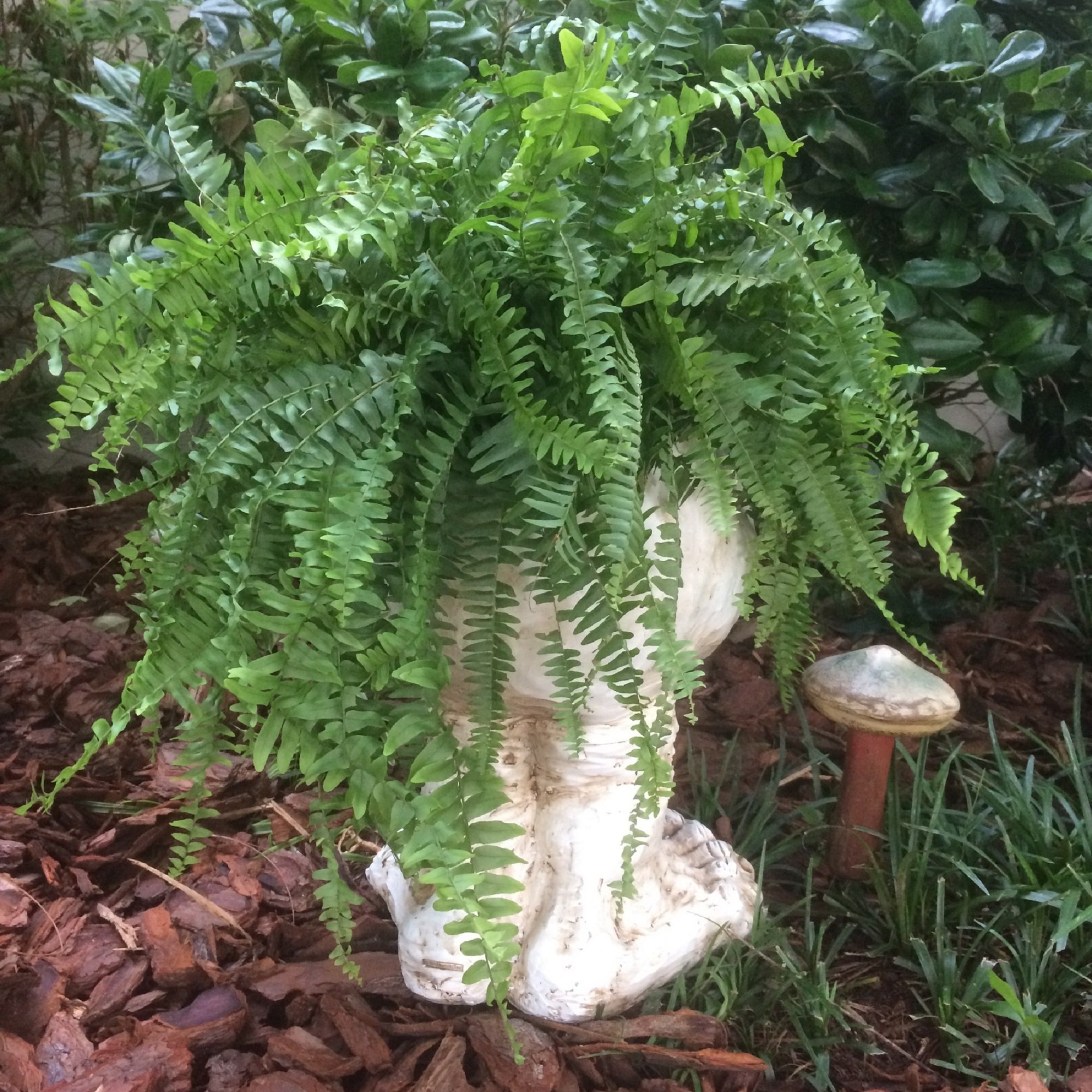 Amazon.com : homestyles 18 in. Antique White Grumpy The Muggly Face Statue  Planter Holds 7 in. Pot : Patio, Lawn & Garden