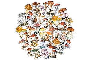 120 Mushroom Stickers Decals for Creative DIY Crafts Decoration