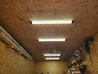 Review Image by Brad4321