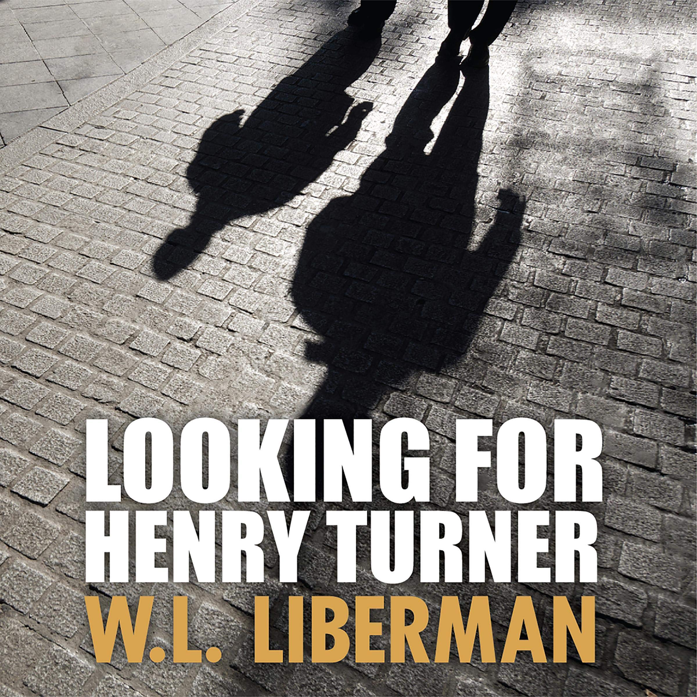 Cover art for Looking for Henry Turner