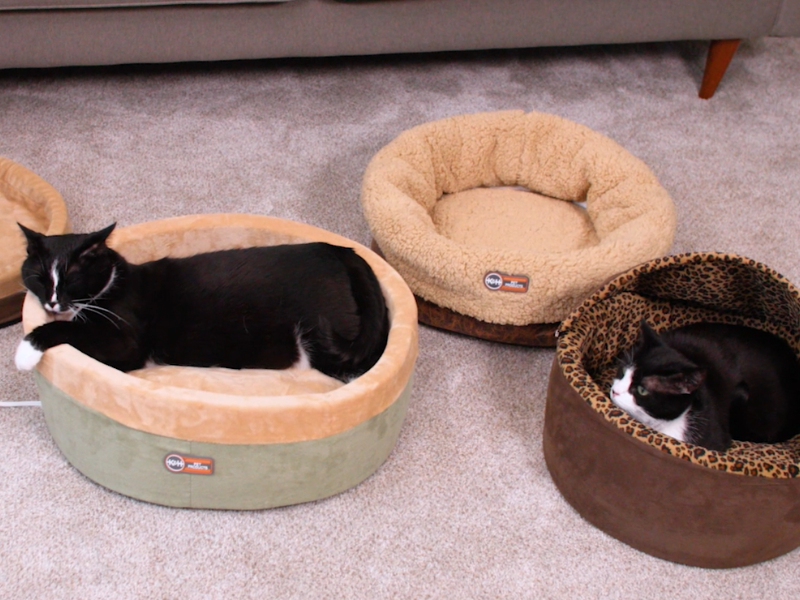 Amazon.com : K&H Pet Products Heated Cat Bed Indoor, Thermo