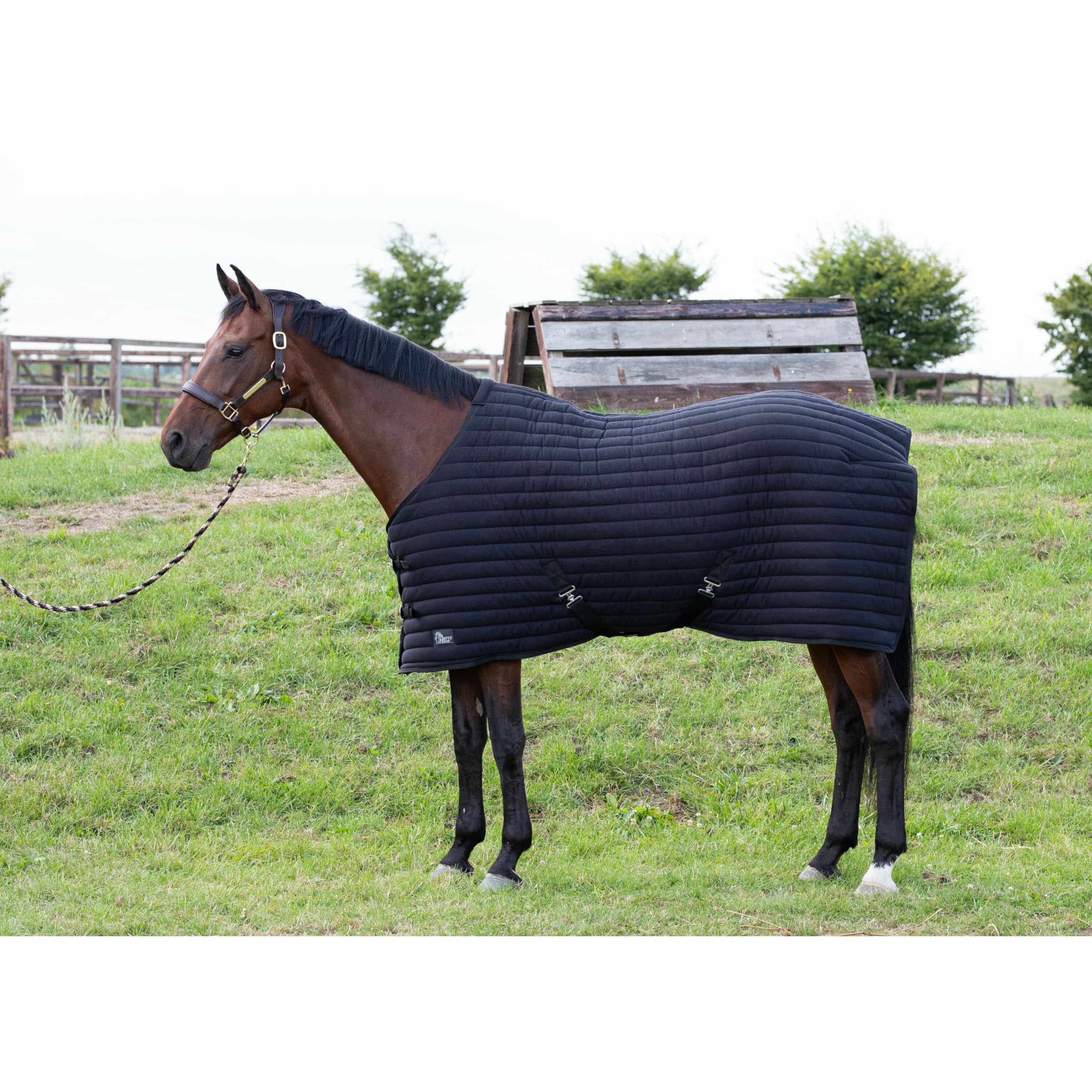 Harry's Horse Coperta Intima Powerliner 200gr 205 Nero