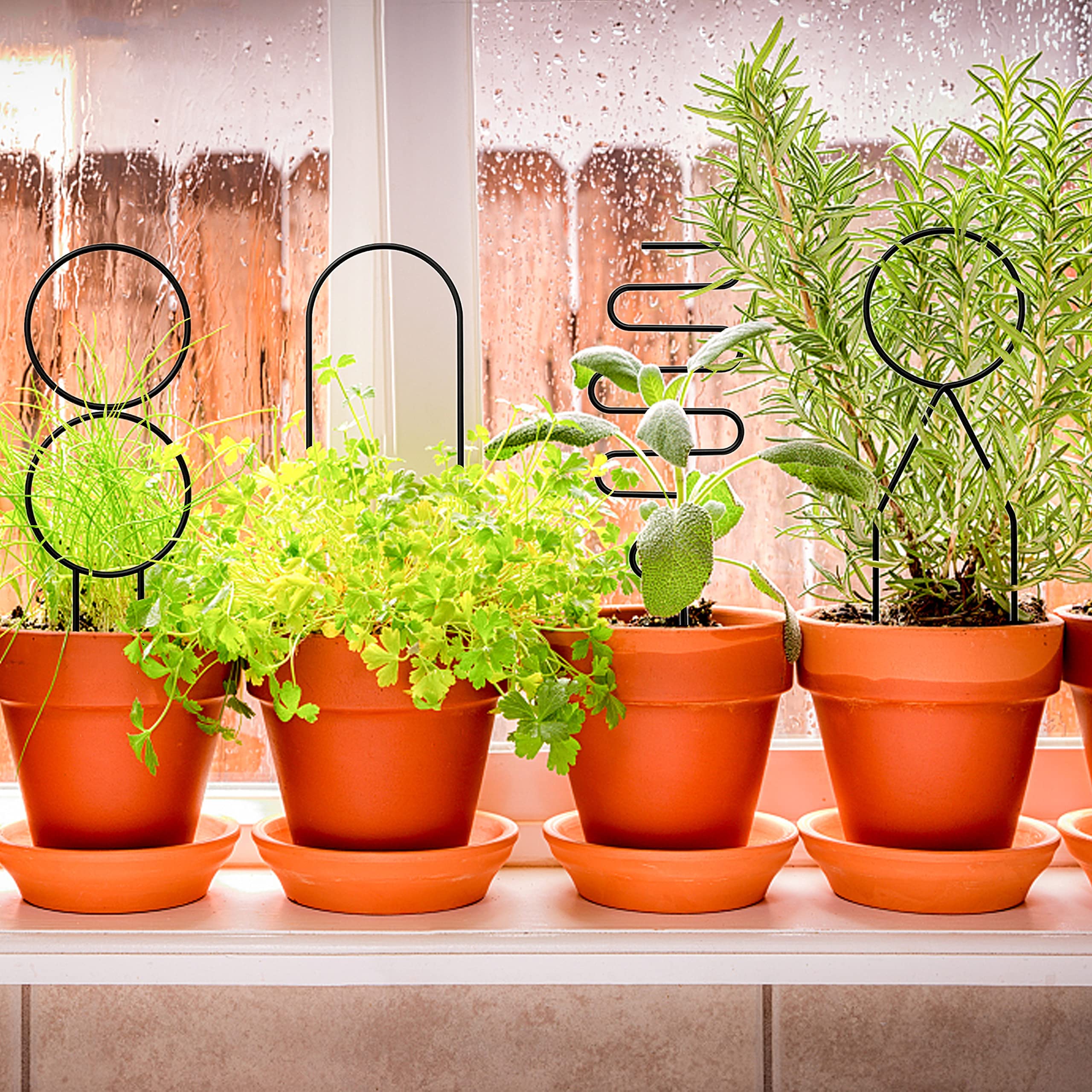 Savita Lot De 3 Treillis Pour Plantes En Pot Métal Noir - Support Grimpant Rond, Hexagone Et Ondulé 27x10cm