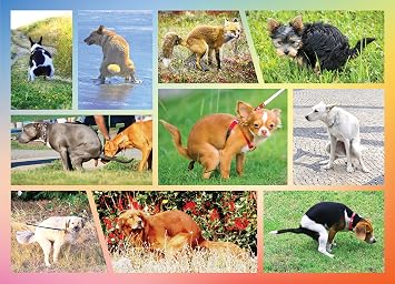Pooping Dogs Puzzle 100 Piece for Kids - Funny Prank Jigsaw | Large pieces, funny pooping puppies jigsaw, great gift for dog lovers & puppy owners