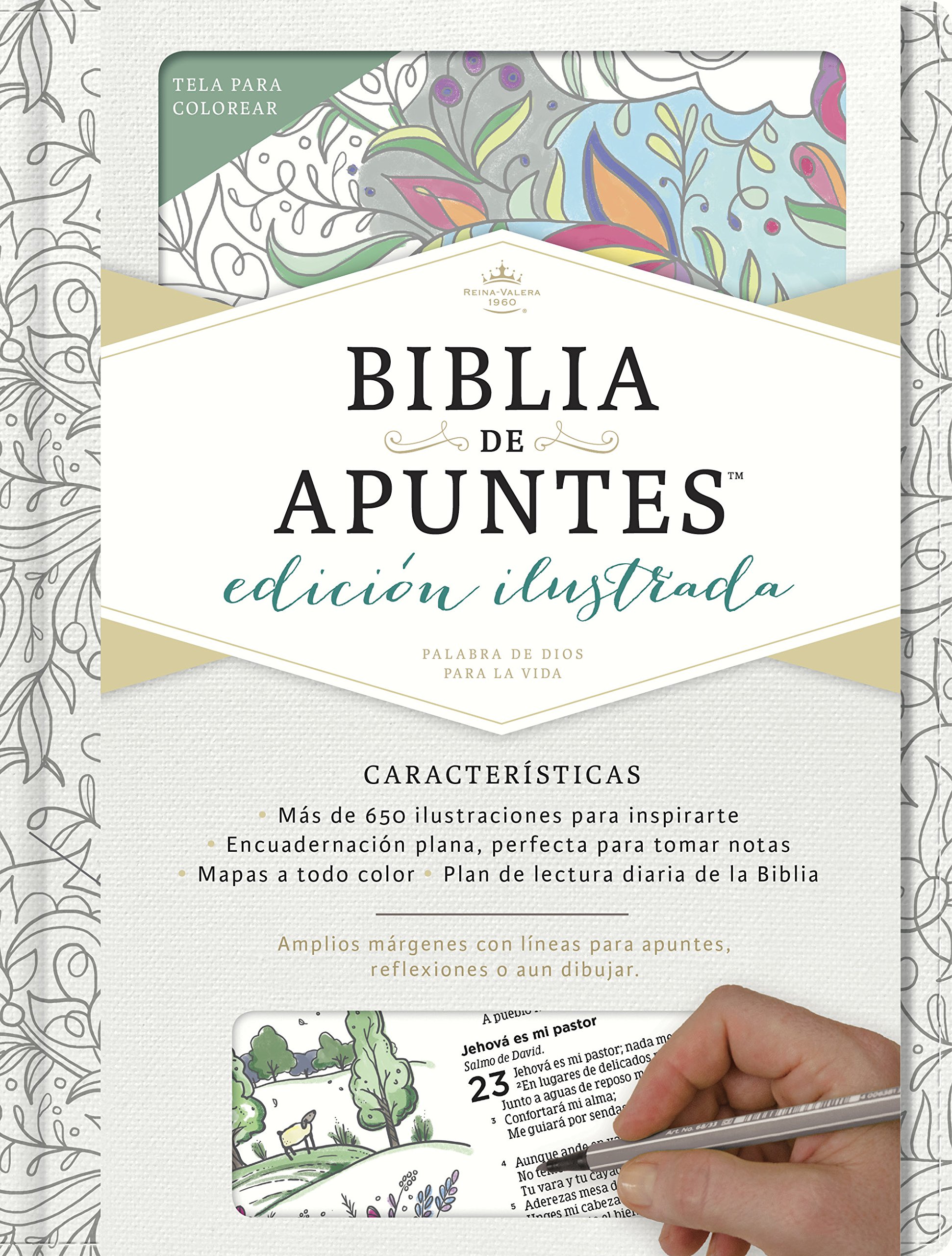 RVR 1960 Biblia de apuntes, edición ilustrada, blanco en tela para colorear  (Spanish Edition) : Amazon.com.mx: Libros