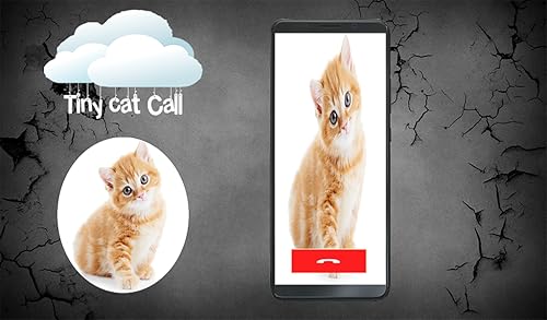 Call from Tiny Cat - Fake Caller Id Pro