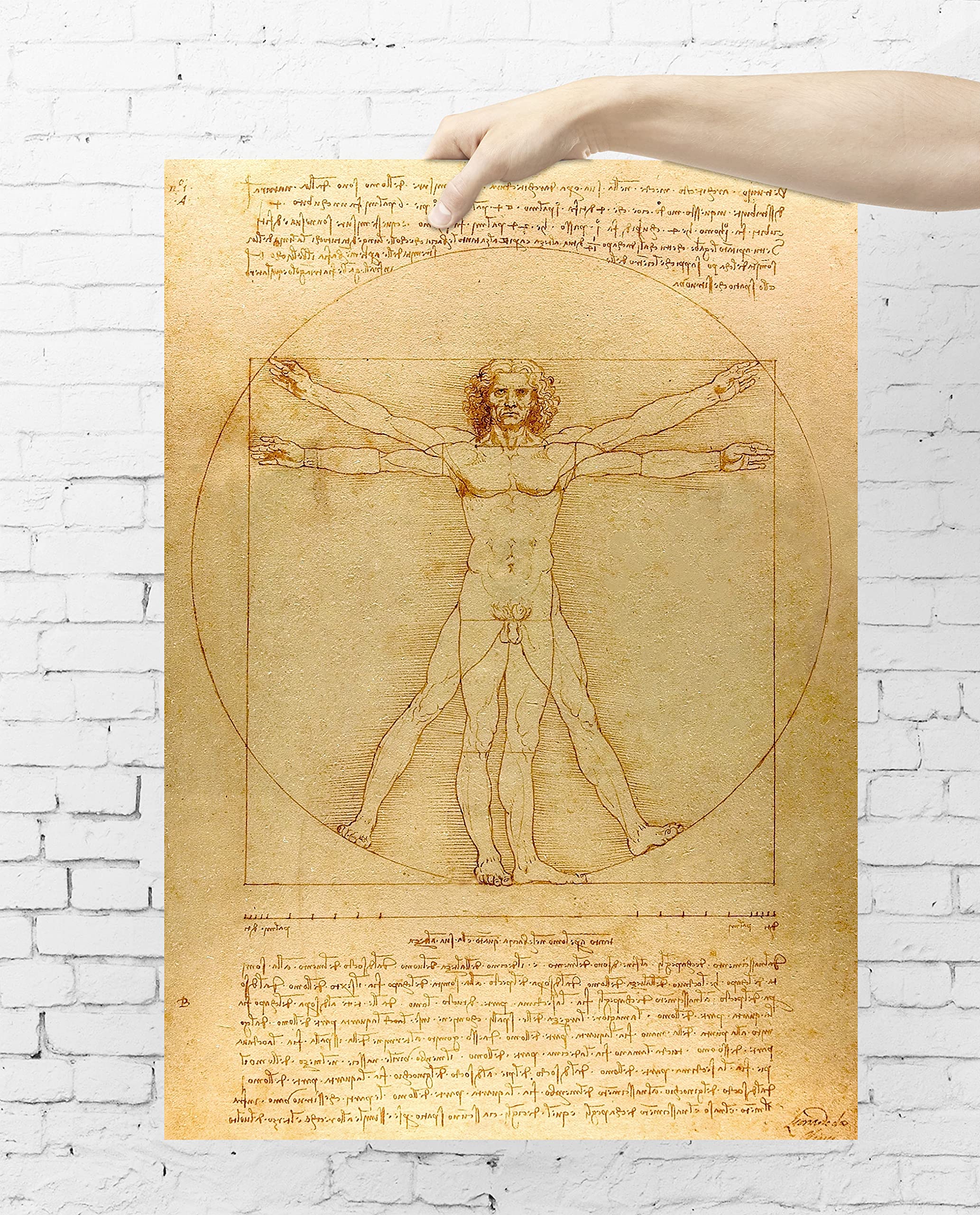 Printistico Poster Leonardo da Vinci - Vitruvianischer Mensch Kunstdruck ohne Rahmen, Wandbild - A4, A3, A2, A1, A0, XXL - Wohnzimmer, Schlafzimmer, Küche, Deko