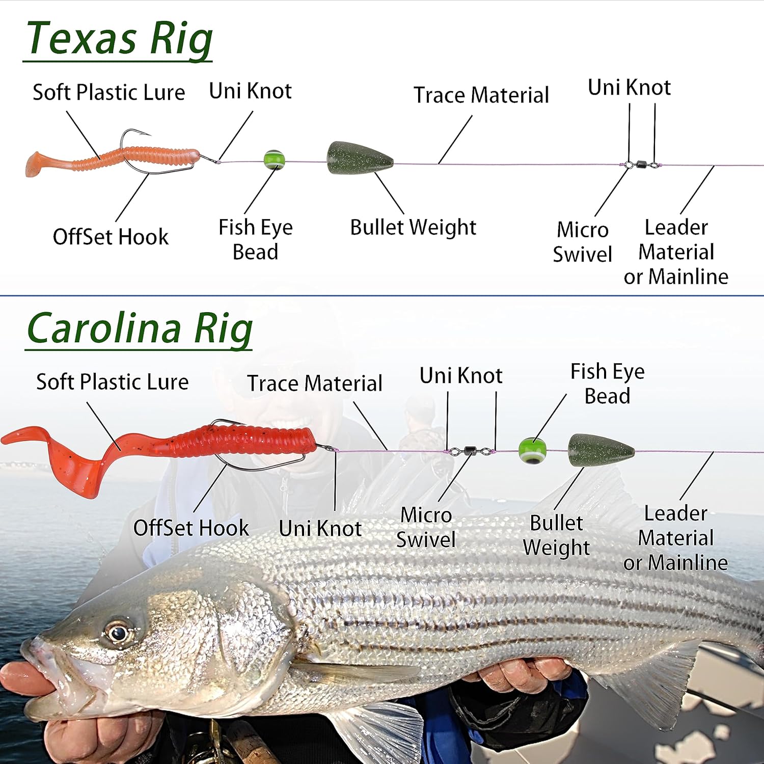 Bullet Fishing Sinkers Bass Fishing Weights Kit, Martinique Ubuy