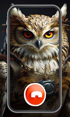 Prank Owl Attendant Video Call & Voice Call - Amazing Prank Owl -(NO ADS)