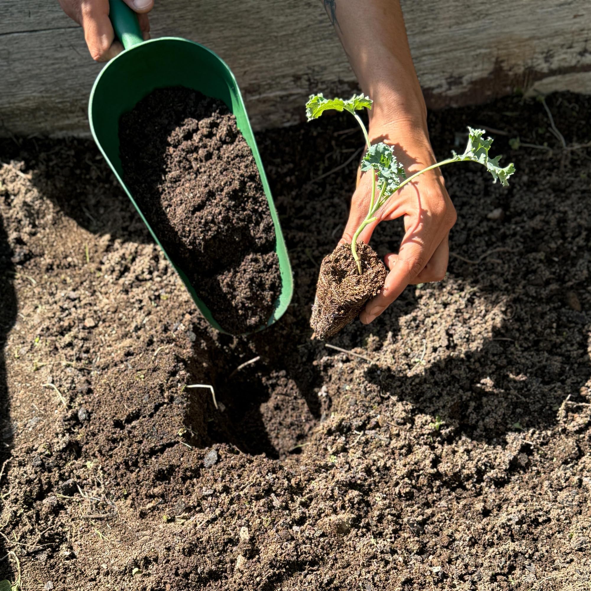 CULTIVERS Humus de Lombriz Ecológico 40 L Certificado | Abono Orgánico para Plantas y Huerto | Mejora la Estructura del Suelo y Favorece el Desarrollo Vegetal — view 3