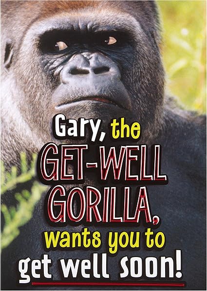 Hallmark Biglietto Di Auguri Di Pronta Guarigione Con Testo In Inglese Especially For You Formato Medio Gary Il Gorilla Amazon It Cancelleria E Prodotti Per Ufficio