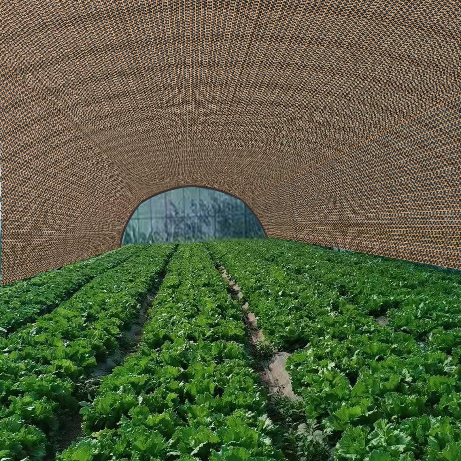View 8