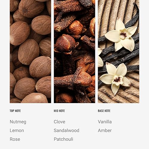 Miniatura 4 de Hotel Collection Mezcla de Aceite para Difusor de Varillas Midnight in Paris Difusor de Varillas de Aromaterapia Esencial de Lujo 4 Meses de