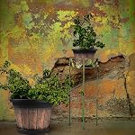 Quarut 4 Pack13 inch Large Plastic Plant Pots Set,Whiskey Barrel Planters with Drainage Holes & Saucer,Flower Pots Imitation Wine Barrel Design for Indoor & Outdoor Garden Balcony Plants