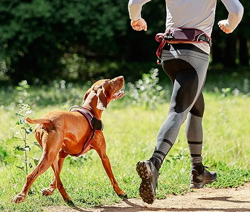 Miniatura 5 de Rogz AirTech - Arnés deportivo para perros