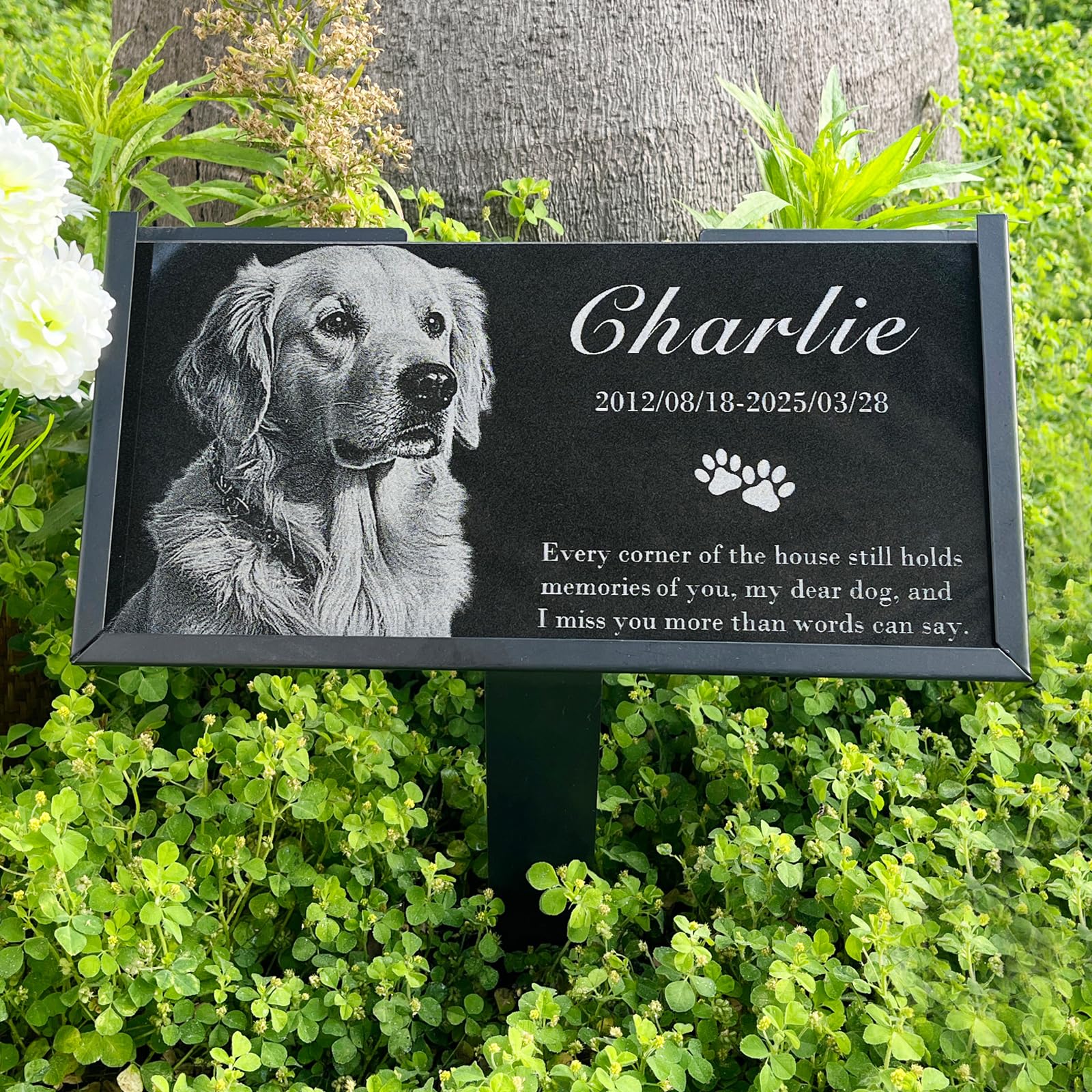 Granite Stone