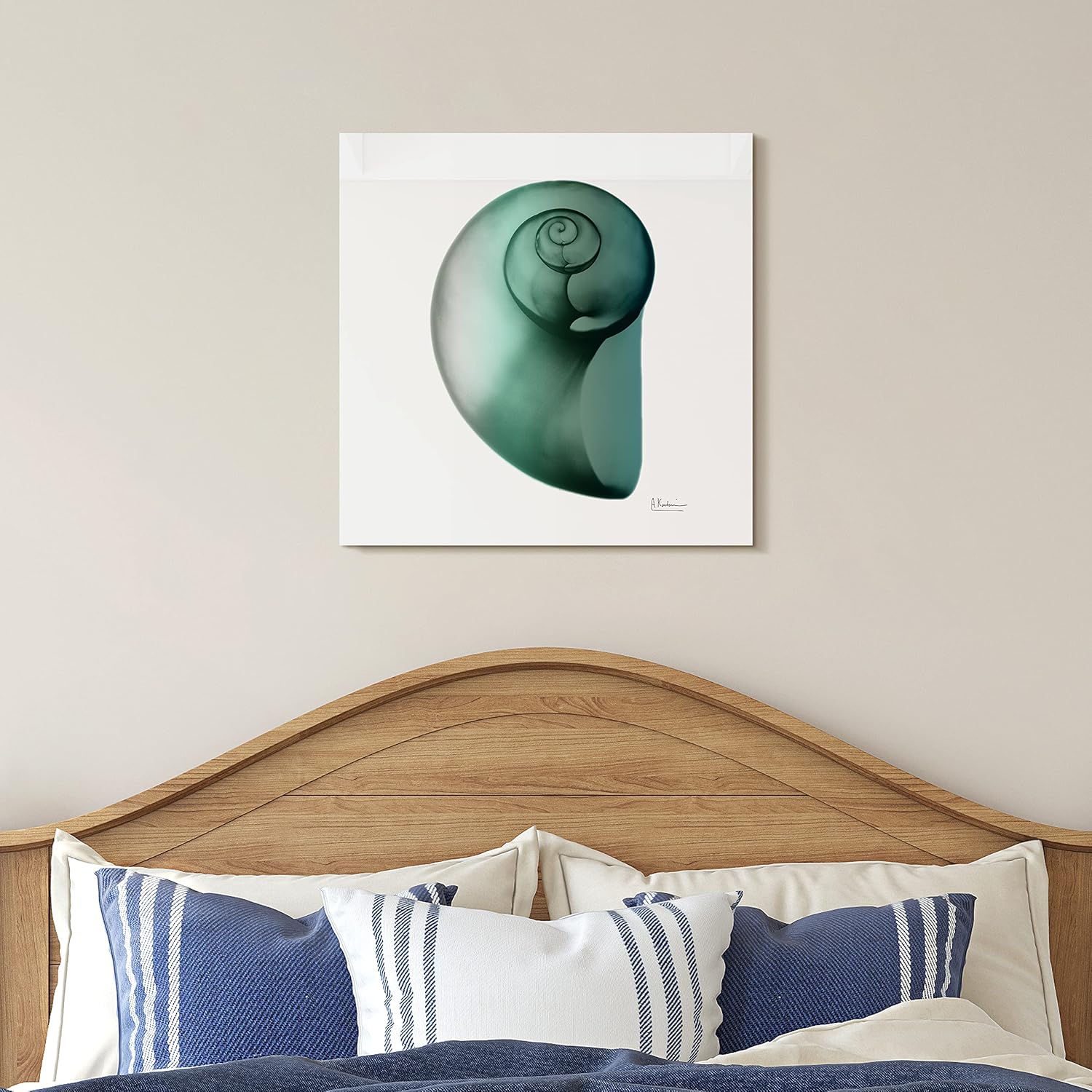 Shimmering Snail II 24" x 24" Tempered Glass Wall Art