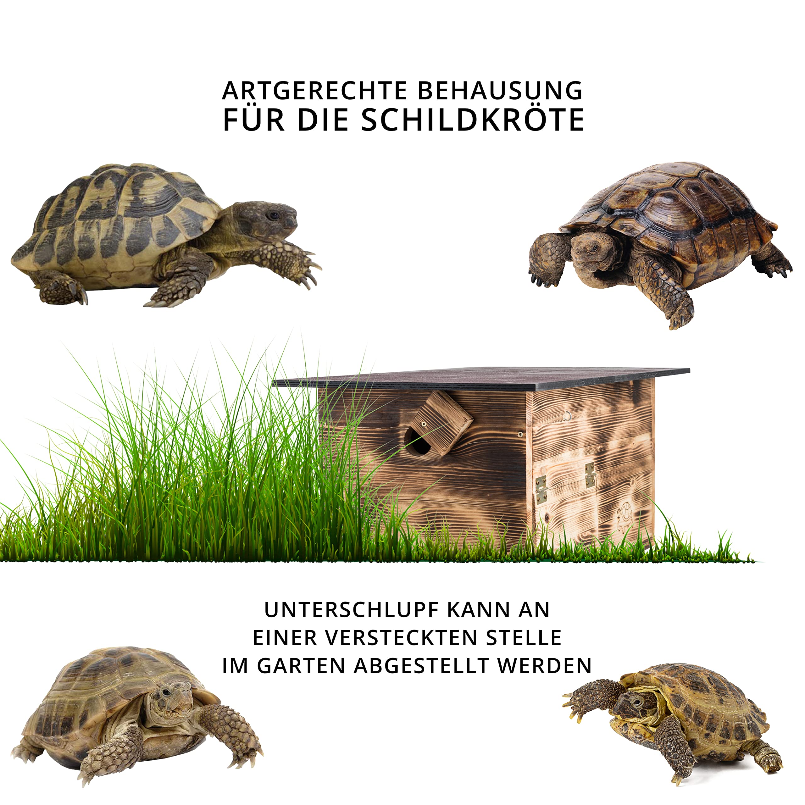 Premium Schildkrötenhaus (SH1) Gebrannt aus 20mm starken Vollholz - Wetterfest mit Boden und Tür inc. verstellbare Belüftung - Schildkrötengehege Schildkröten Wetterfest Freilauf Gehege