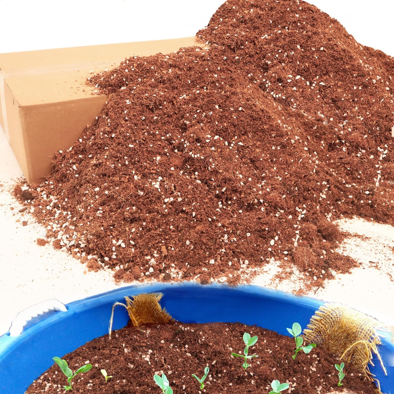 18QT Potting Soil Mix for Indoor Plants - Contains Perlite, Peat Moss, Coco Coir & Rice Charcoal, Natural & Organic Material with Well-Draining, Light & Aerated Texture for Healthy Roots & Fast Growth