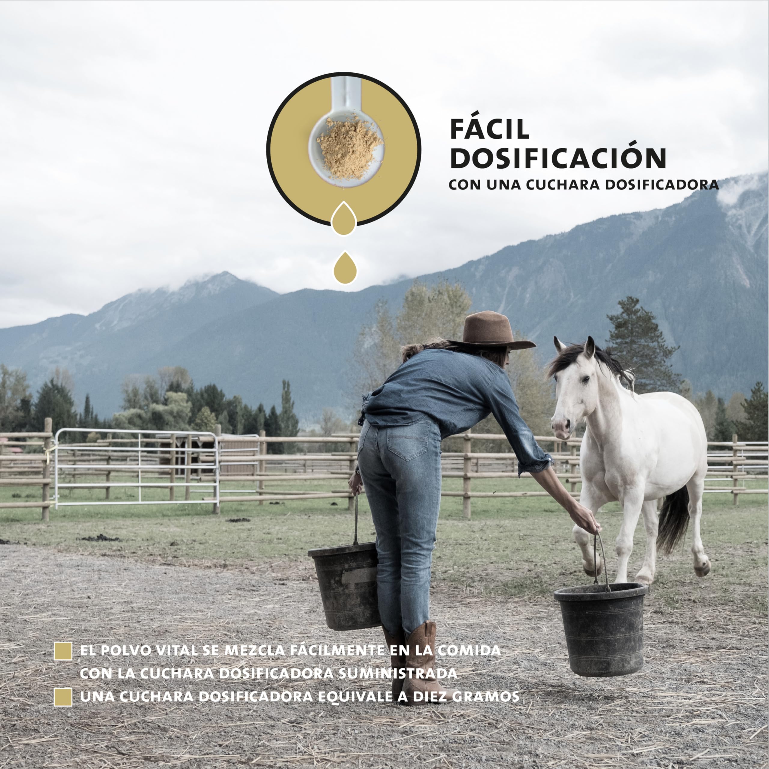Peticare Senior Polvo para Caballos | Promueve la vitalidad, Movilidad en la vejez | Ingredientes de Origen Vegetal, con L-leucina, MSM | para Caballos Senior y Ponis Mayores | petHorse Health 4603