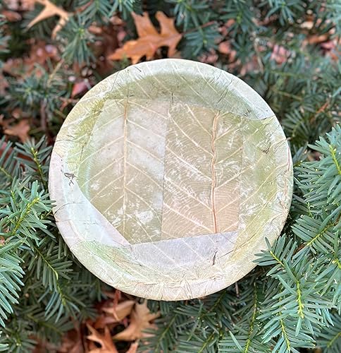 Miniatura 8 de Foliumware Platos de hojas de sal de un solo uso 9 pulgadas 25 por paquete  Cero residuos biodegradables compostables en el patio trasero  Para