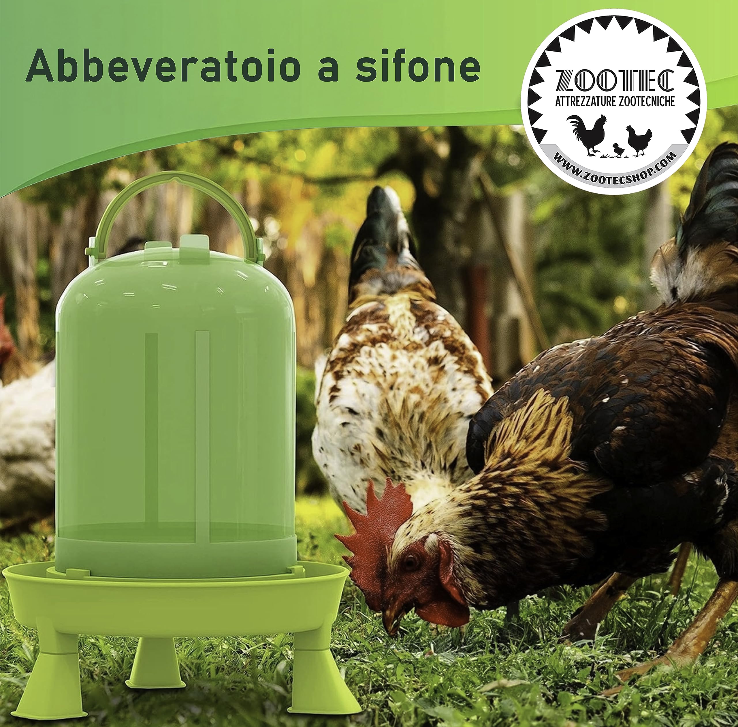 Comedero para gallinas de 4 kg y bebedero para gallinas de 5 l, de plástico transparente resistente, patas extraíbles
