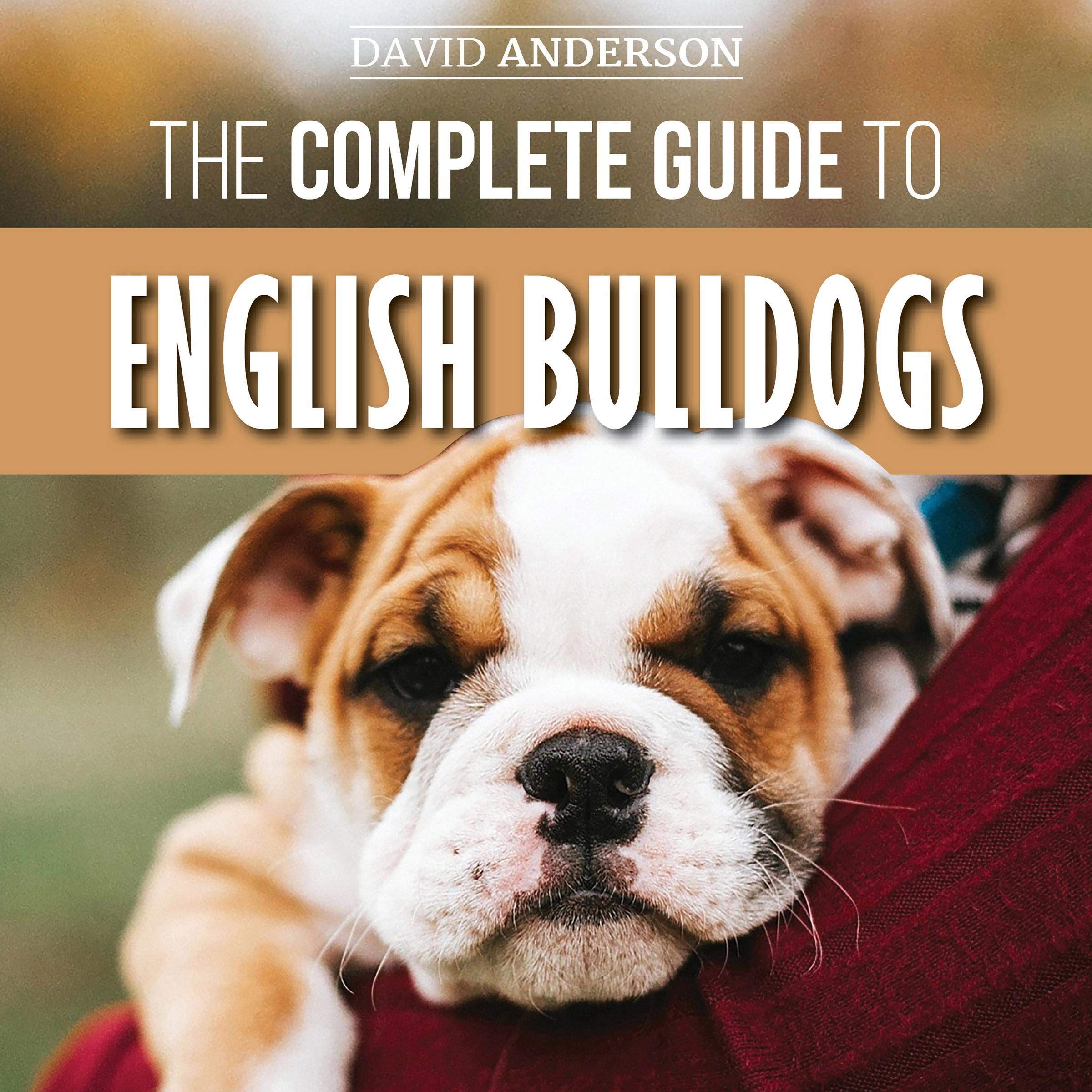 Cover art for The Complete Guide to English Bulldogs
