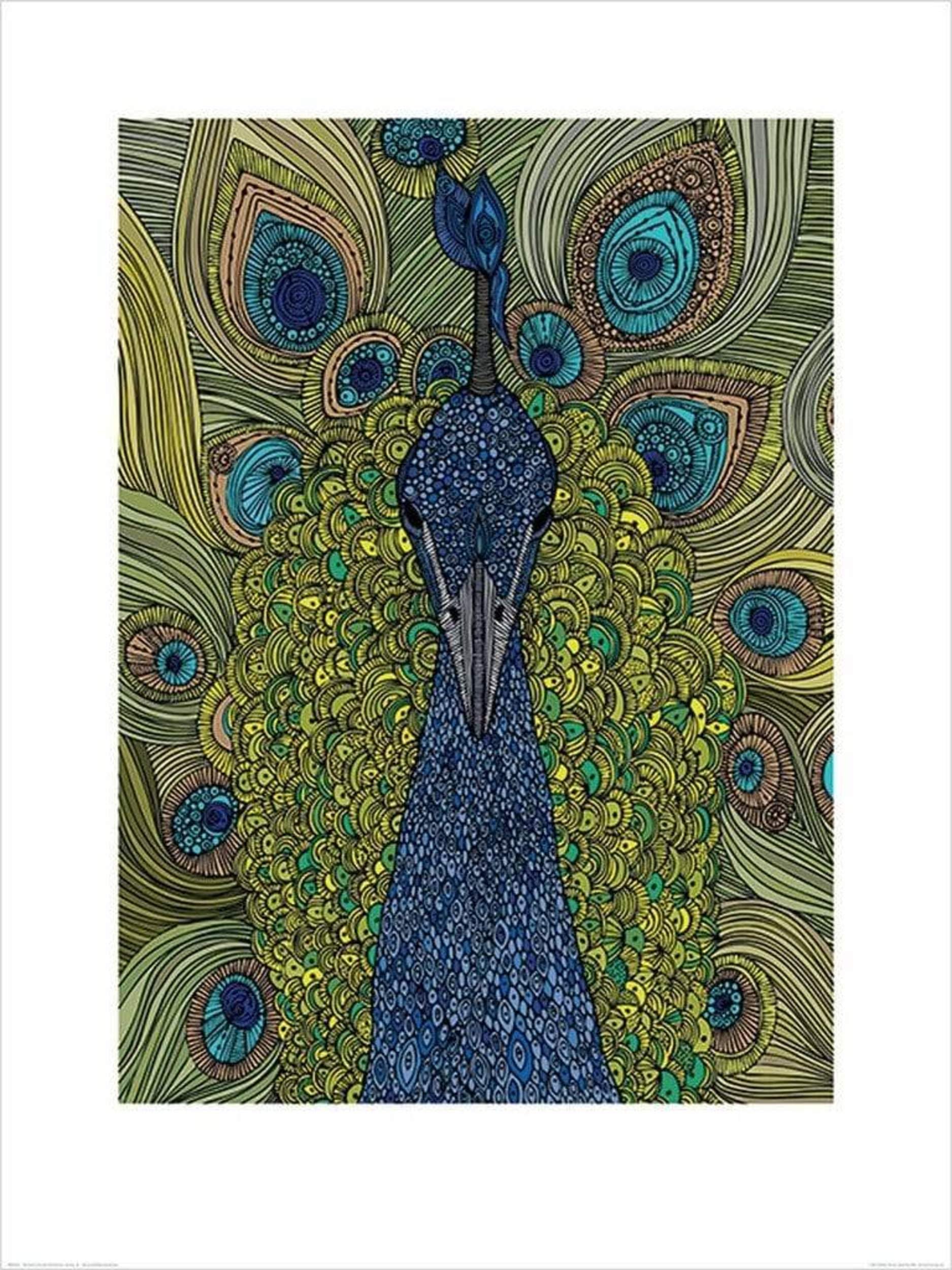 Pyramid International "The Peacock Valentina Ramos Art Print, Multi-Colour, 60 x 80 x 1.3 cm