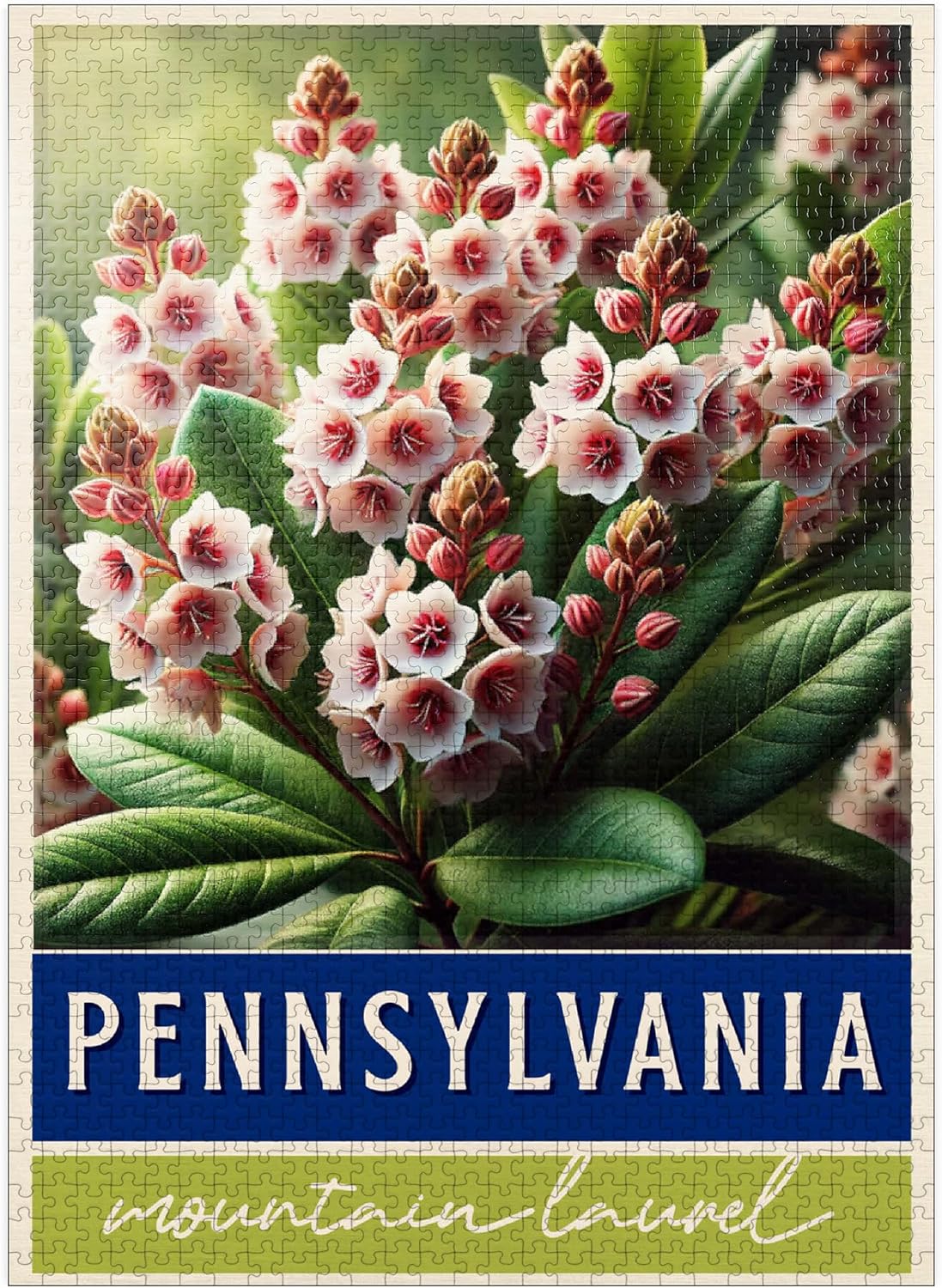 MyPuzzle State Flowers Series: Pennsylvania, Mountain Laurel - Premium 1000 Piece Jigsaw Puzzle for Adults