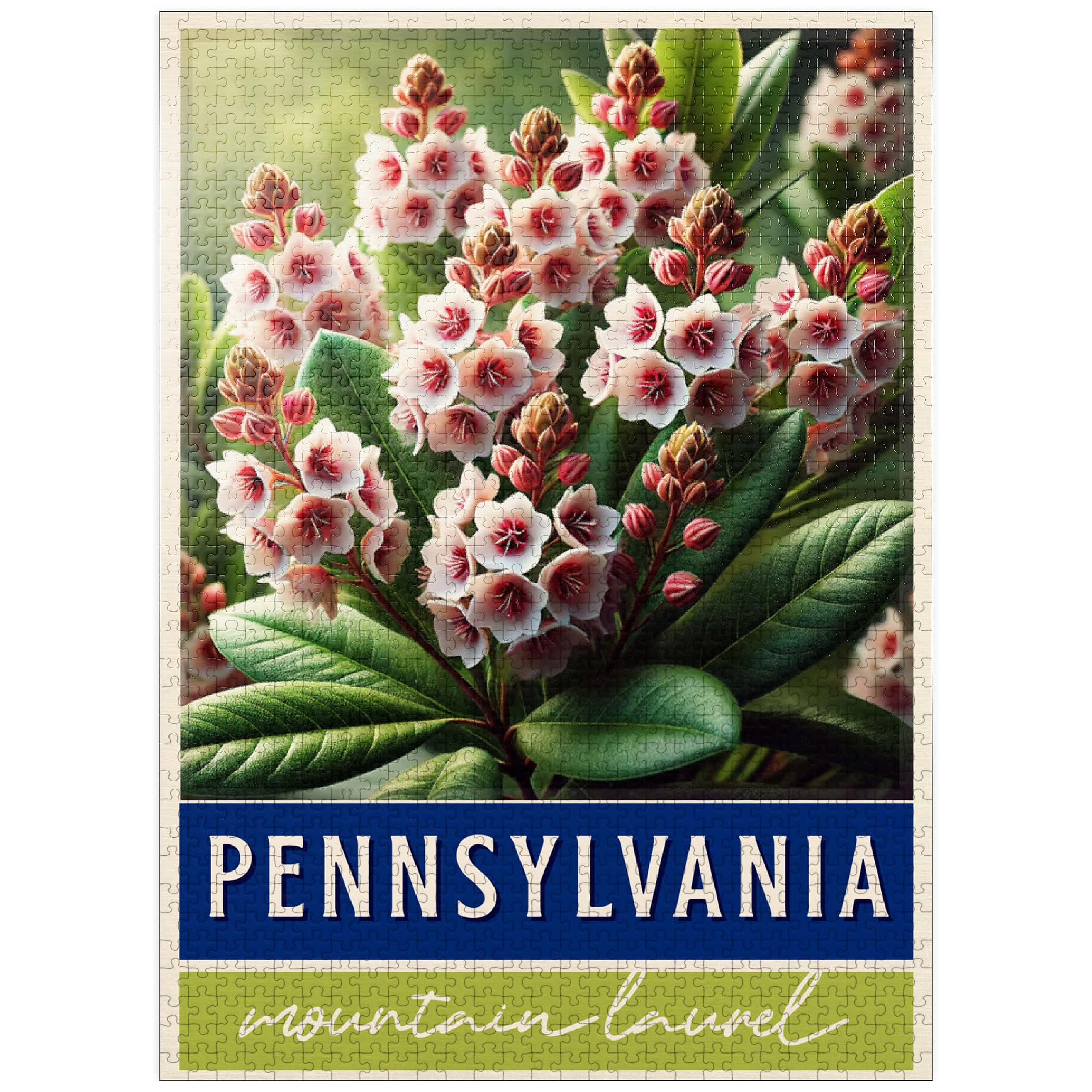 MyPuzzle State Flowers Series: Pennsylvania, Mountain Laurel - Premium 1000 Piece Jigsaw Puzzle for Adults