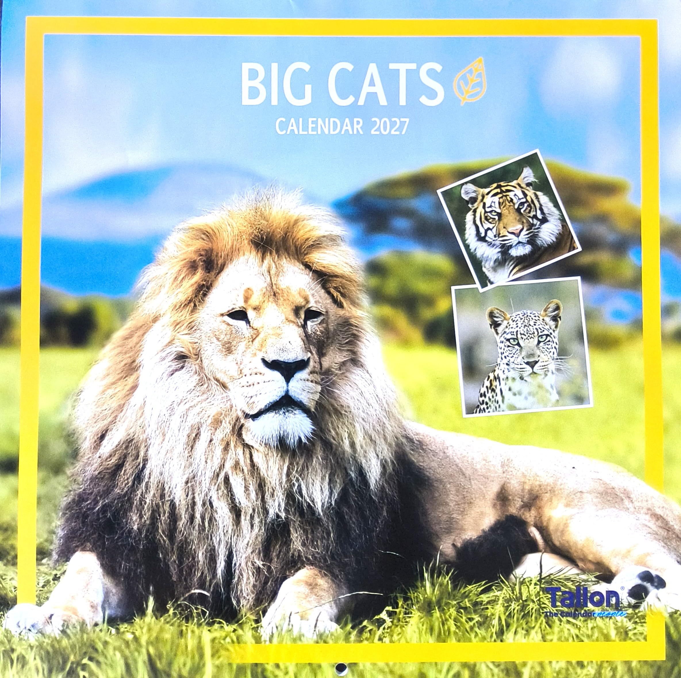 2027 Big Cats Square Wall Calendar 16 Month Planner Organiser Home Office