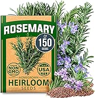 HOMEGROWN Non-GMO Heirloom Rosemary Seeds - 150 High Germination Pack for Indoor Outdoor Herb Gardens