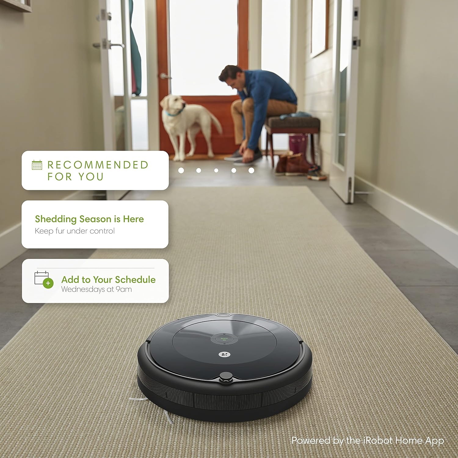 iRobot Roomba 694 Robot Vacuum-Wi-Fi Connectivity, Personalized Cleaning Recommendations, Works with Alexa, Good for Pet Hair, Carpets, Hard Floors, Self-Charging, Roomba 694 : Everything Else