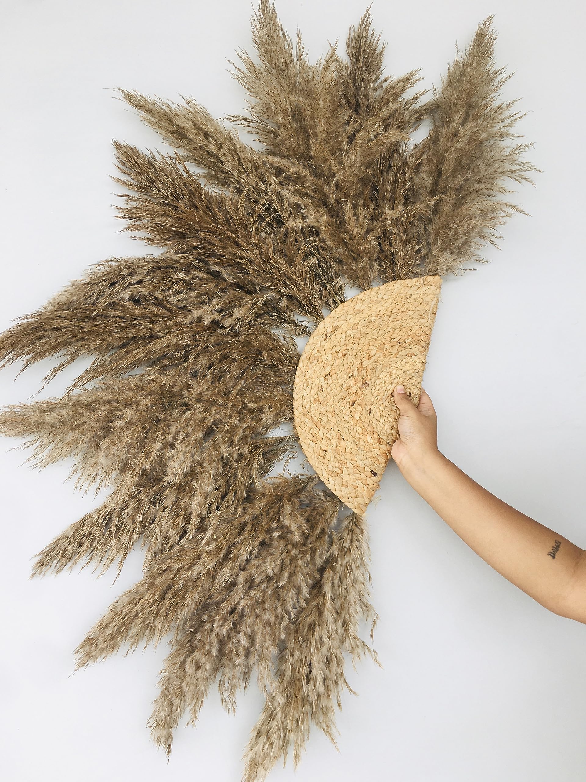 Vanchai Decor Dried Pampas Grass Sun Wall Decor for Home | Office | Living Room | Gift | Modern Decoration Items | Living Space Wall Decor |West Bengal Culture Home Decor Hanging Items, Set of 1-image-16