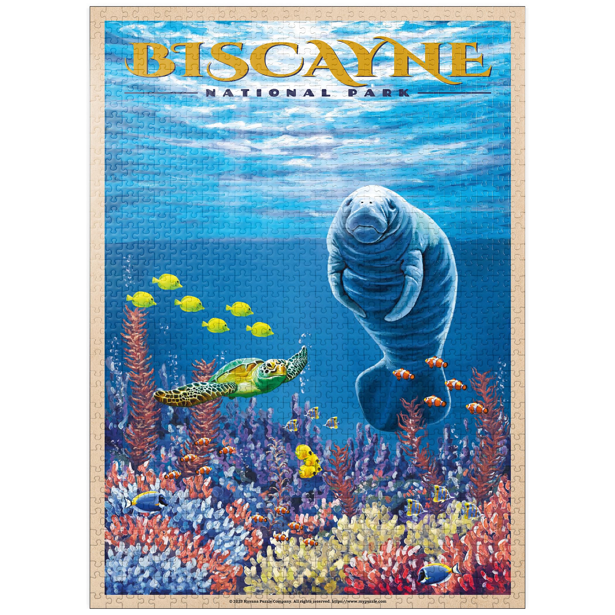 Amazon.com: MyPuzzle Biscayne National Park - Manatees Whispering