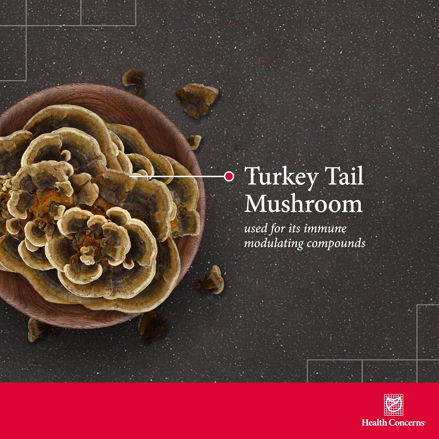 Health Concerns Coriolus PS – Turkey Tail Mushroom Supplement for Immune Support & Gut Health – Microbiome Balance – Cooling Chinese Herb – 1500mg Turkey Tail Per Serving – 90 Capsules - Image 3