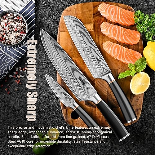 Miniatura 5 de Sunnecko Juego de cuchillos de damasco, juego de cuchillos de chef japoneses VG10 con núcleo de acero Damasco, juego de cuchillos de cocina