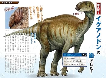 Amazon.com: ヘンなかたちの化石 これ恐竜・古生物のどの部分