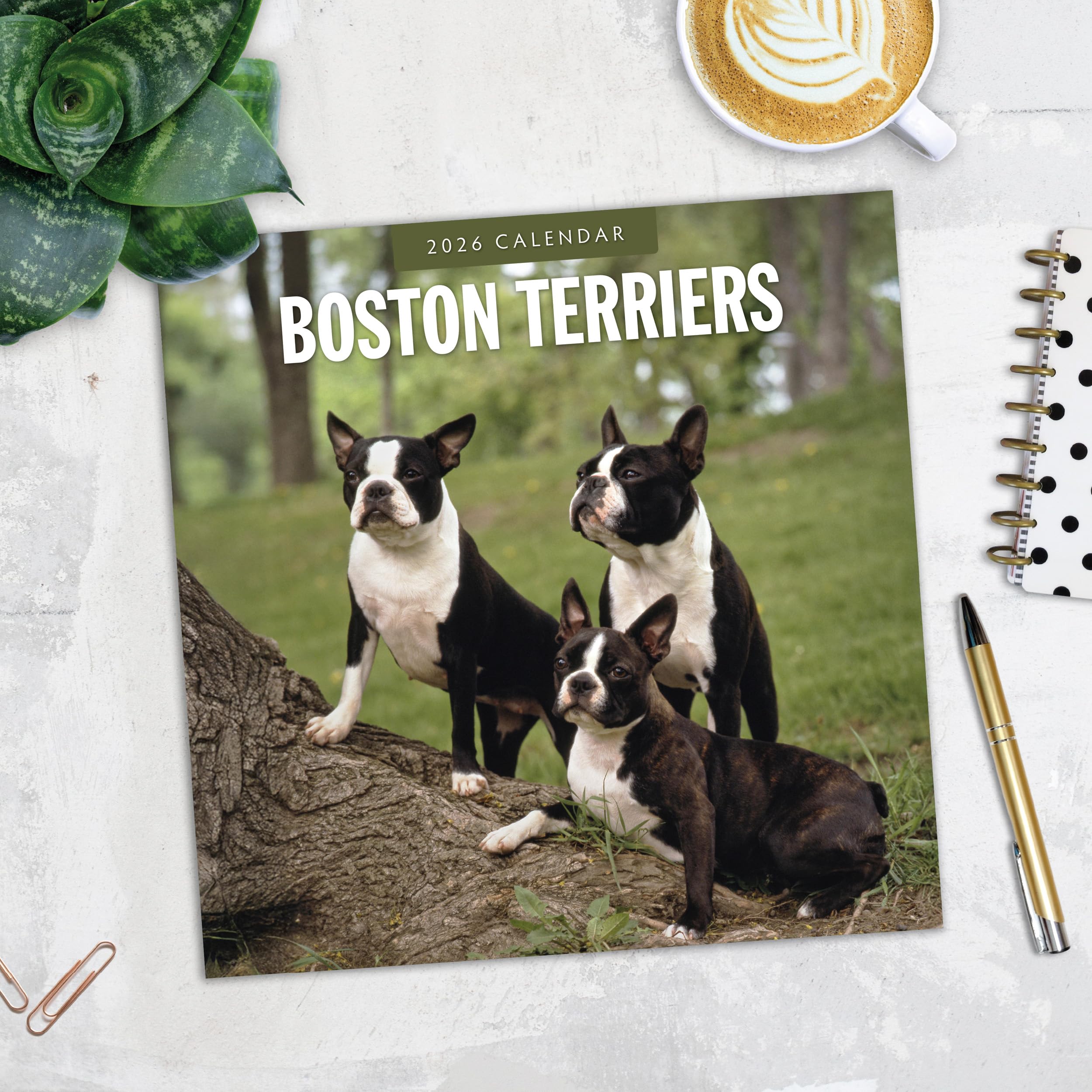 View 3