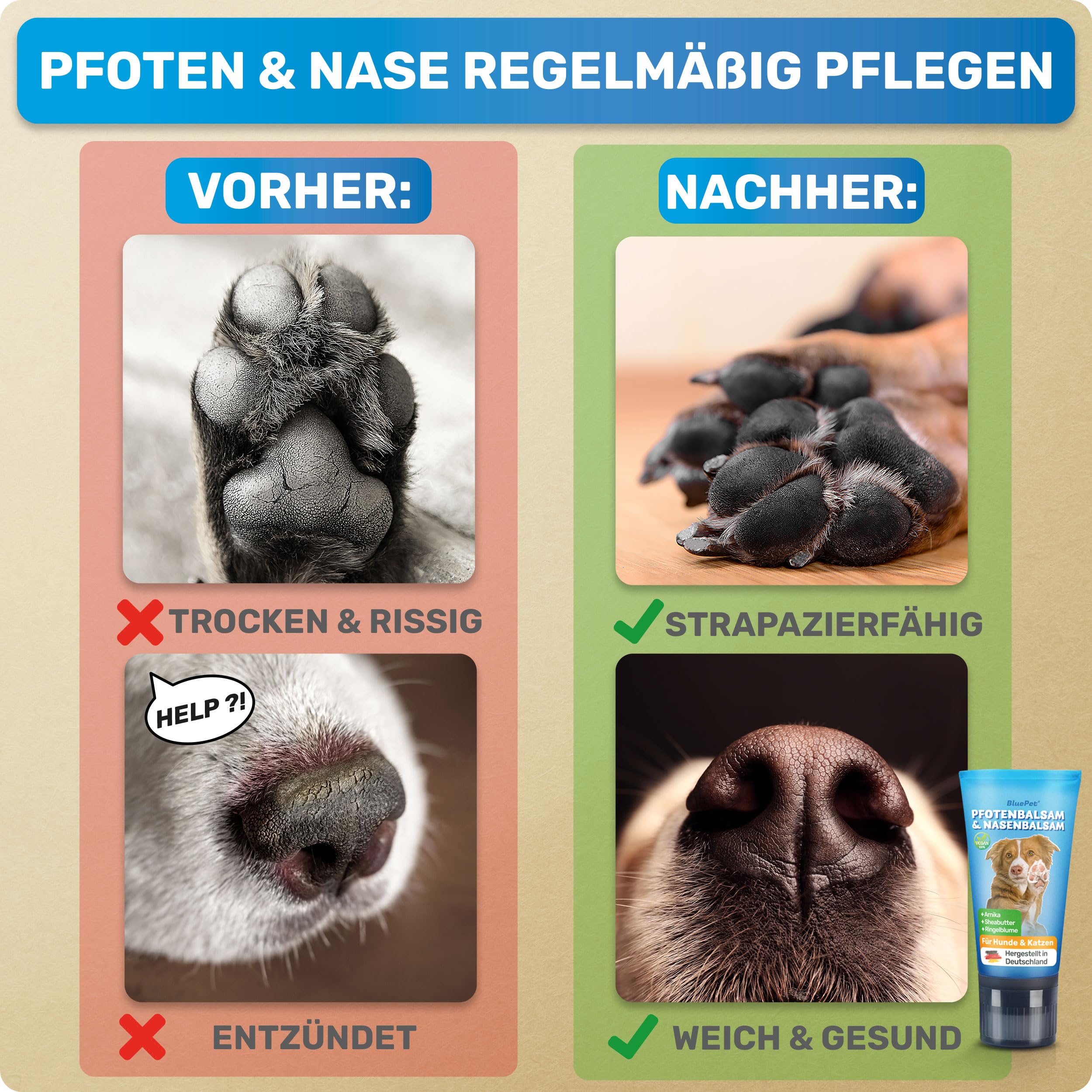 BluePet Baume Coussinet Chien, Creme Coussinet pour Pattes de Chien & Chat, Baume Pattes & Truffes Chiens, Protection Neige & Chaleur, Cicatrisante & Antiseptique, pour Pattes & Truffe sèche, gercée