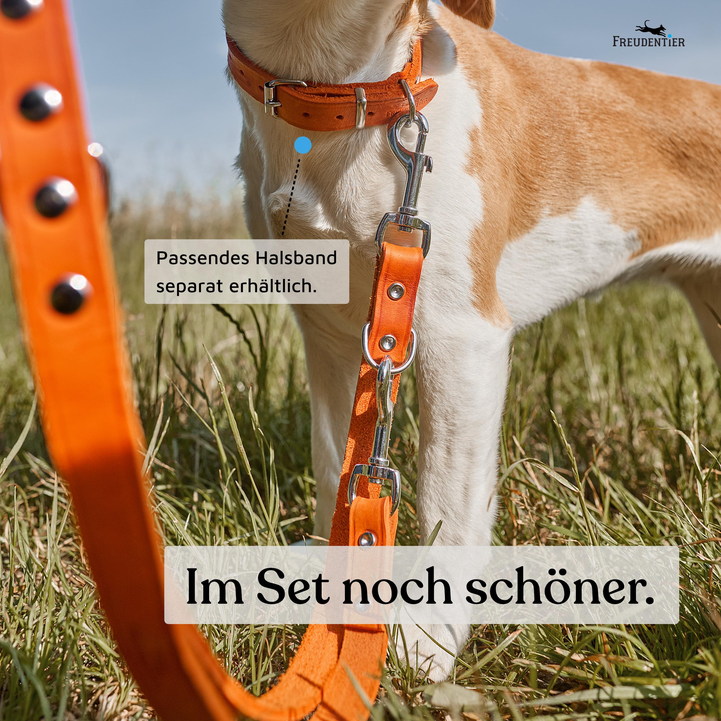 Hondenriem, 2 m, meerdere posities, maat en groot, verstelbaar, met 2 karabijnhaken, grote riem voor honden, dubbel, 2 honden, wandelingen, training, beige, grijs (bruin, 2,1 m x 1 cm